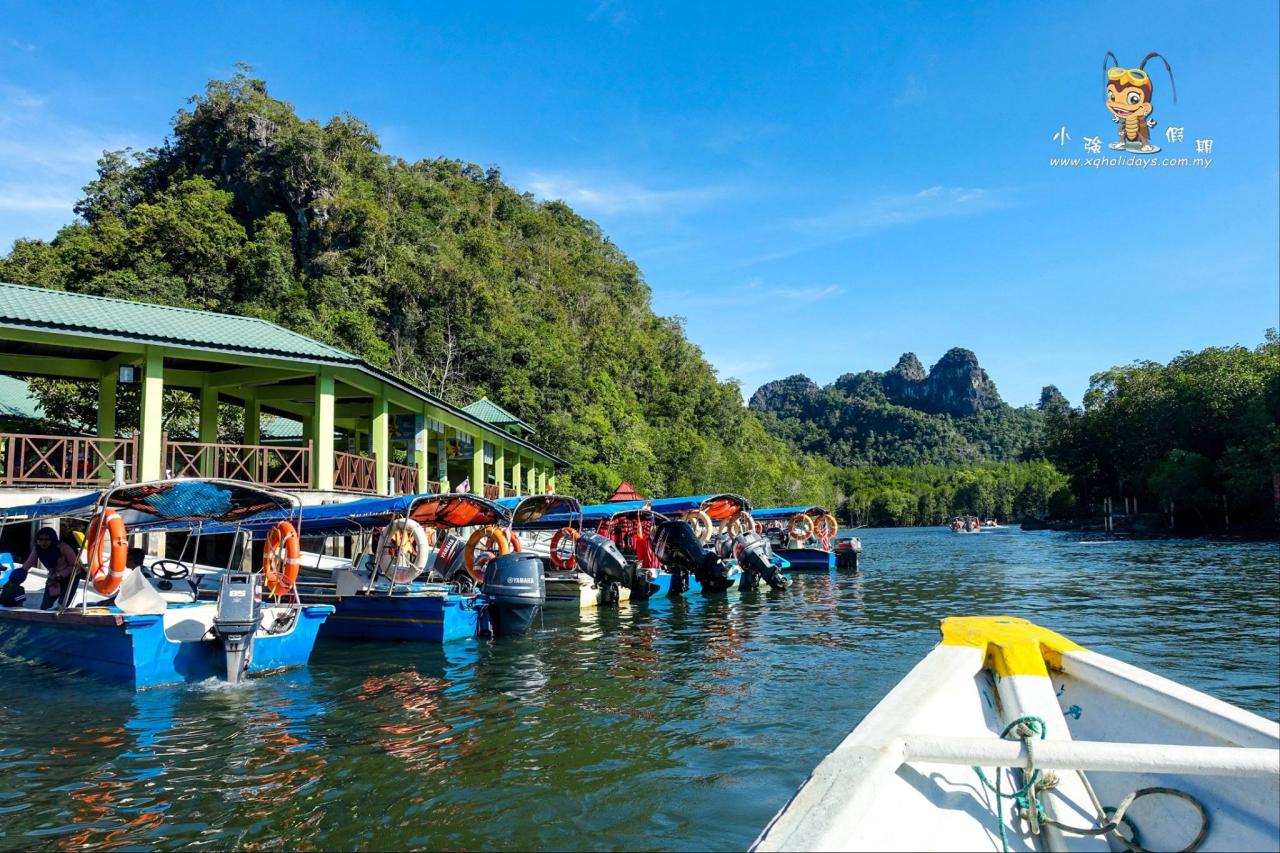 Jelajahi Mangrove Langkawi: Tur Unik ke Ekosistem Pesisir